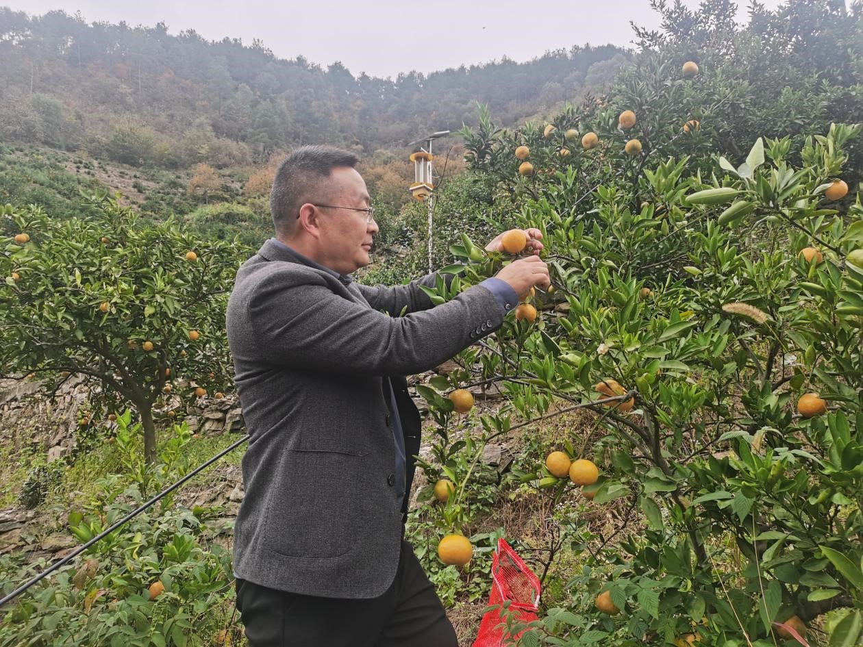 rů ժcSա@ֹ˾eOcһڽֿSՎؼҡr